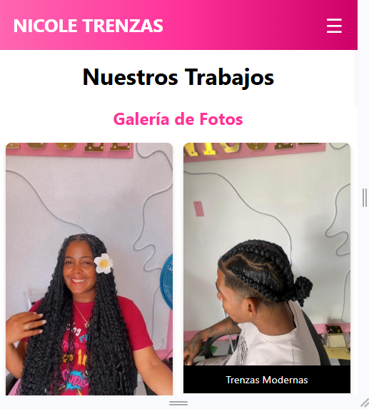 Sitio Web Trenzas